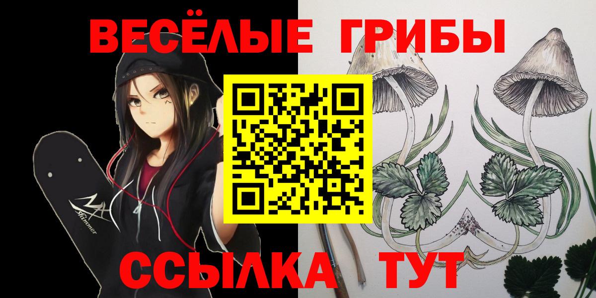Псилоцибиновые грибы MAGIC MUSHROOMS  Вход с VPN  купить наркотик  Ликино-Дулёво 